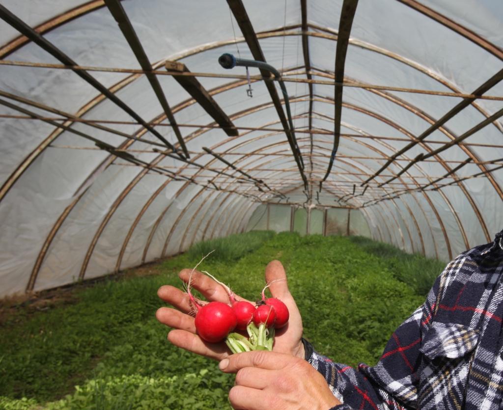 Autors: Gatis Bogdanovs