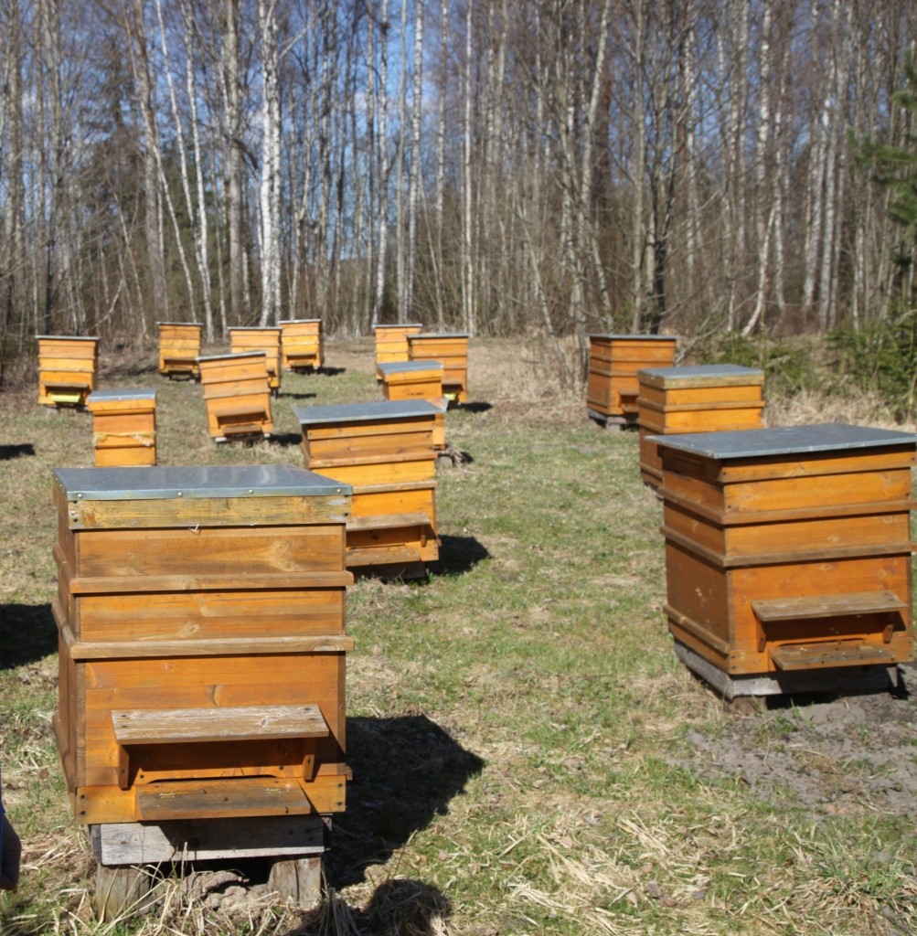 Autors: Gatis Bogdanovs