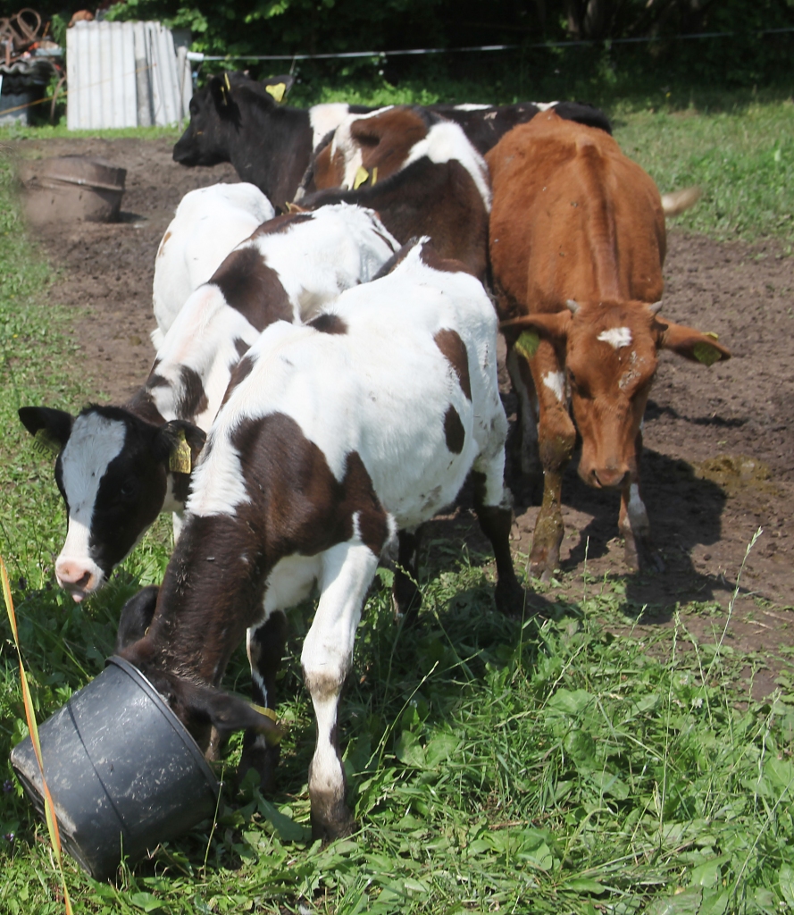 Autors: Ilustratīvs foto: Gatis Bogdanovs