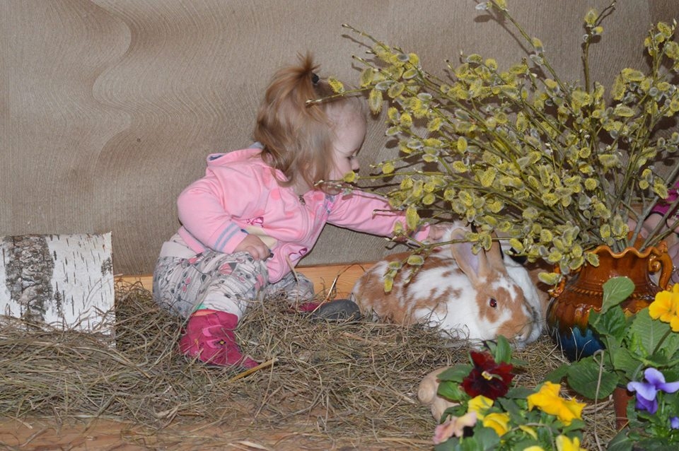 Autors: www.facebook.com