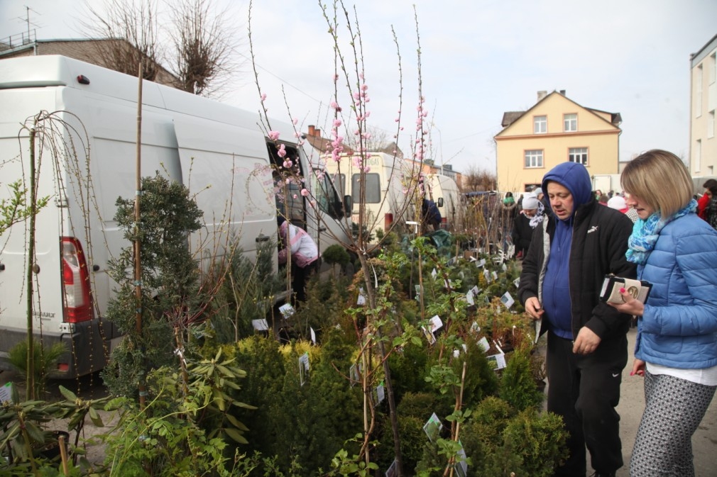 Autors: Gatis Bogdanovs