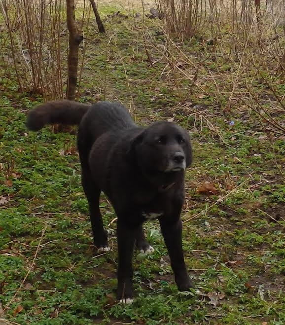 Autors: no personiskā arhīva