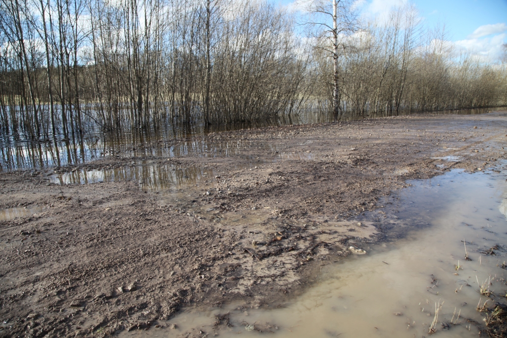 Nesakoptu zemes īpašumu rezultātā bieži vien cieš arī autoceļi, kurus dažviet sedz no tīrumiem plūstošais ūdens. 	
Autors: Gatis Bogdanovs 