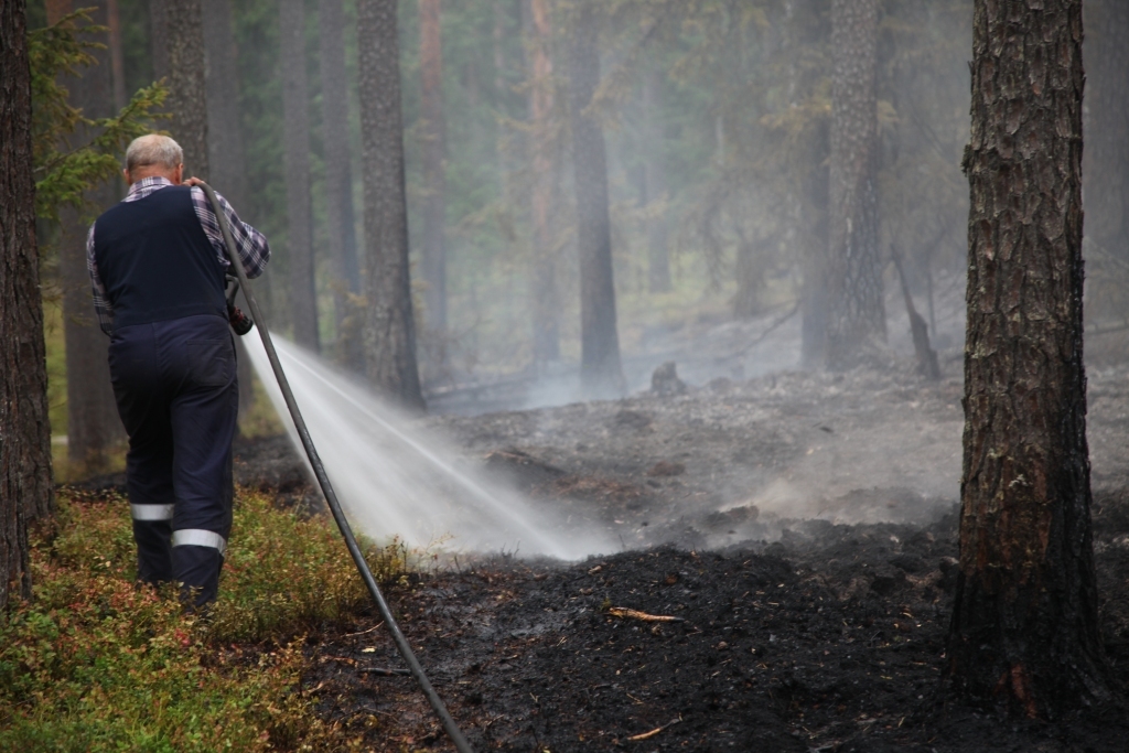 2016.gadā visā virsmežniecības teritorijā notikuši 19 meža ugunsgrēki ar kopējo platību 15,05 hektāri.
Autors: no Dzirksteles arhīva