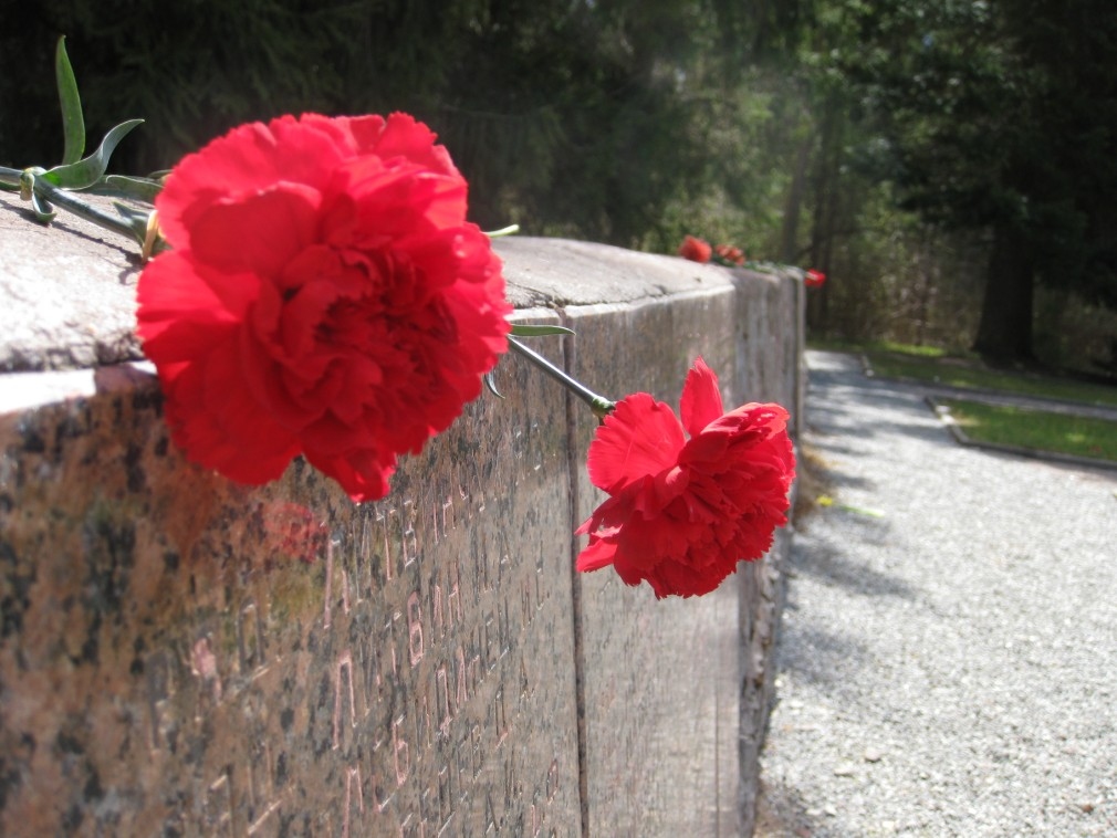 Autors: Diāna Odumiņa