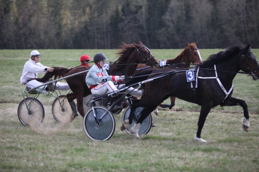 Autors: Gatis Bogdanovs