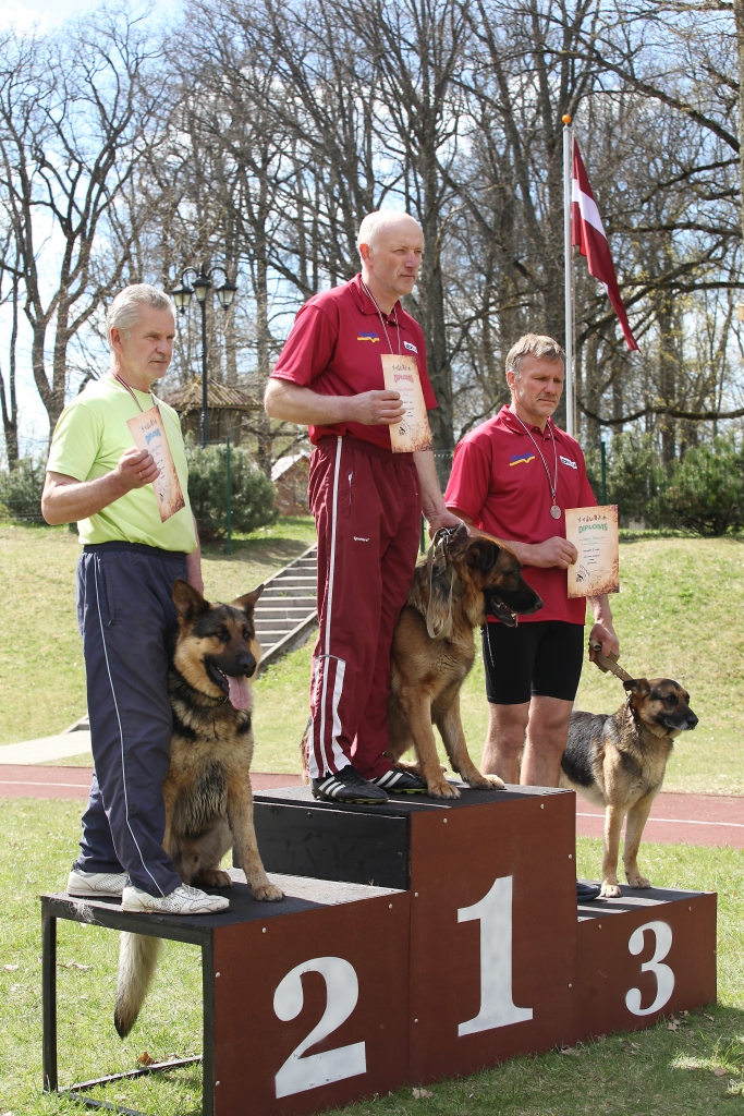 Pirmajā sacensību posmā vecākajā grupā uz augstākā goda pjedestāla pakāpiena kāpa vienīgais sacensību dalībnieks no Gulbenes novada  - lizumnietis Jānis Kamarūts ar Ergo. Viņiem abiem ir liela sacensību pieredze un nopelnīto kausu skaits. 	
Autors:  Gatis Bogdanovs