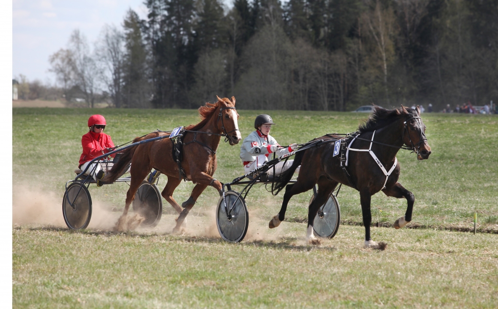 Līna Berga ar septiņus gadus veco Taris Augustinu cīnījās par zemnieku saimniecības “Augstkalni” kausu un to izcīnīja, 2100 metru distanci pieveicot 2,53,66 minūtēs.	
Autors: Gatis Bogdanovs