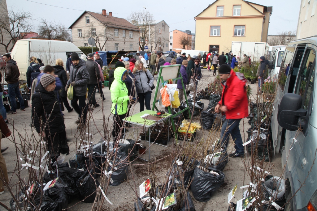 Autors: Gatis Bogdanovs