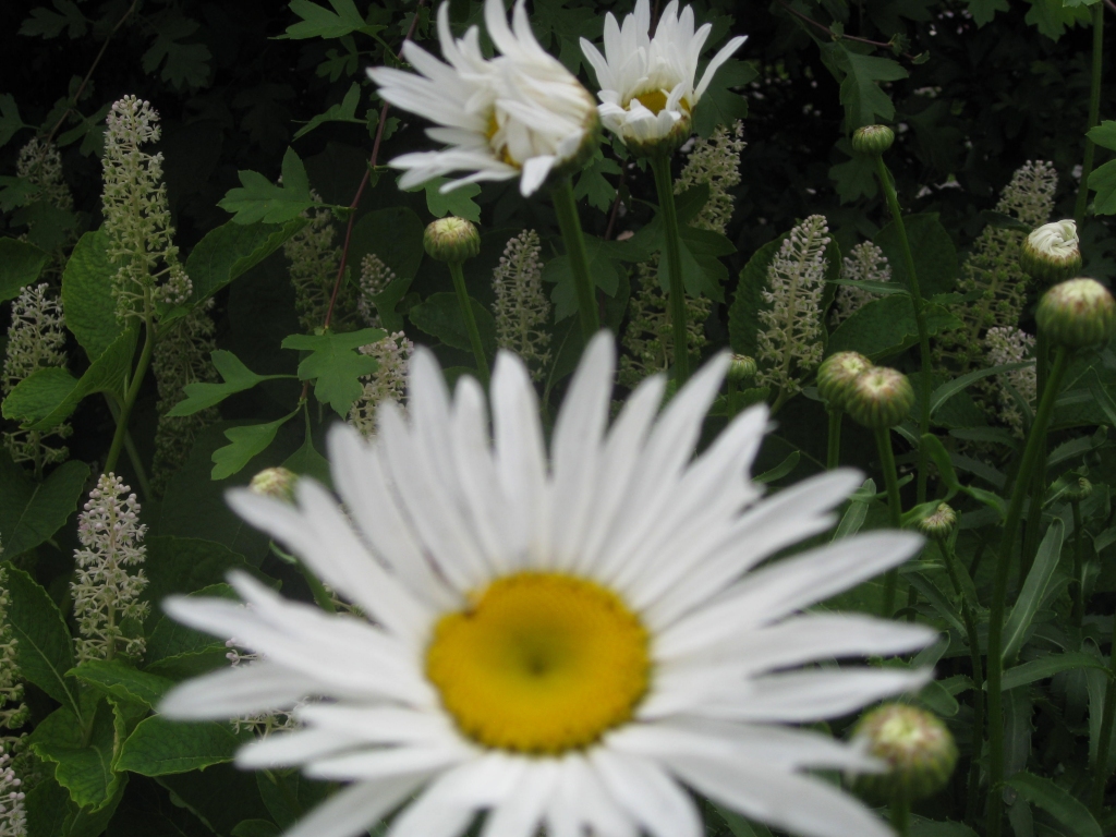 Autors: Tamāra Ulase