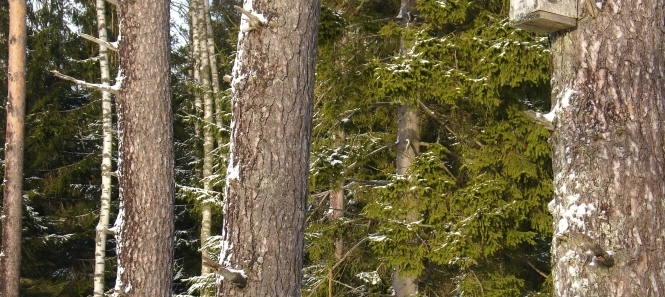 Autors: ilustratīvs