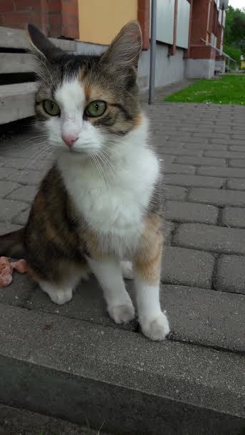 Autors: no personiskā arhīva