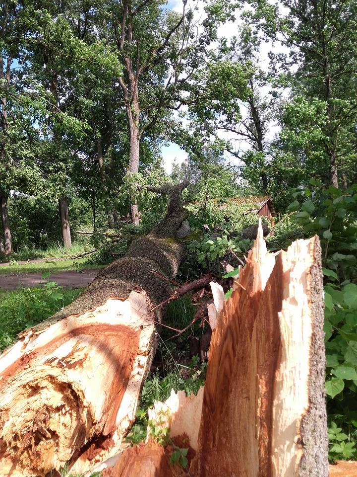 Autors: Mārīte Maksteniece (facebook.com)