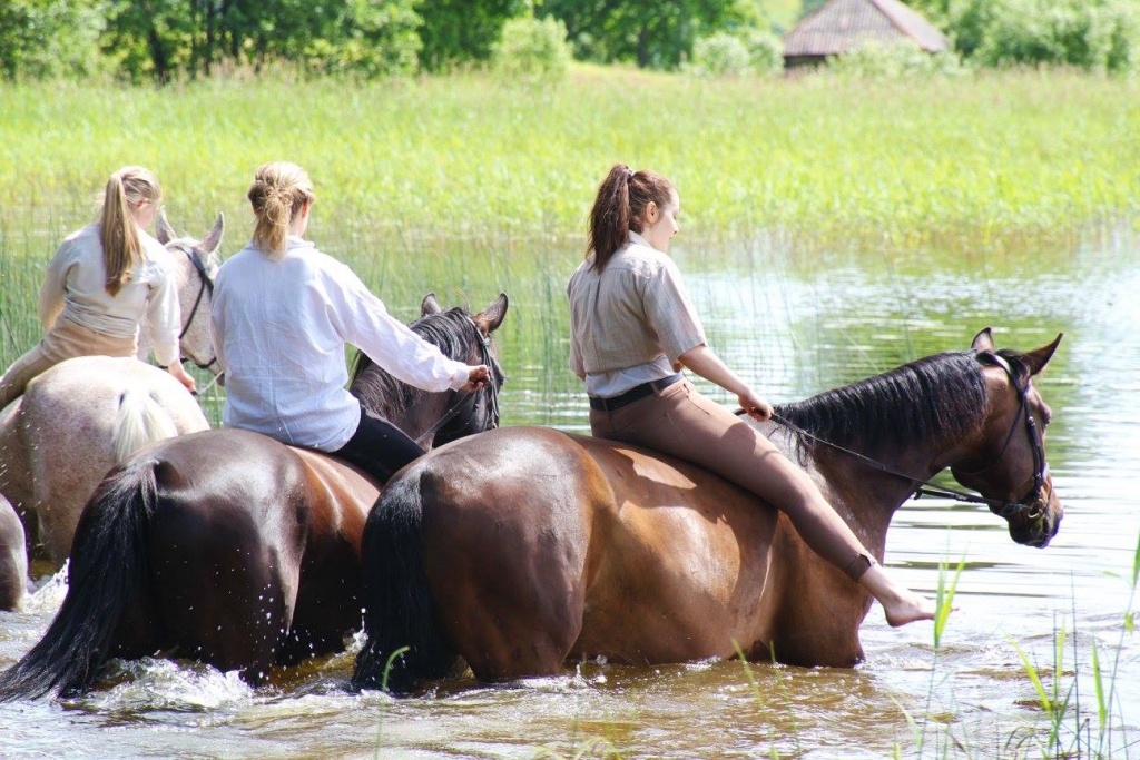 Stāmereniešiem Jāņu dienas pēcpusdienā bija iespējams priecāties par zirgu peldināšanu Stāmerienas ezerā. 
Autors: Ailita Brezinska