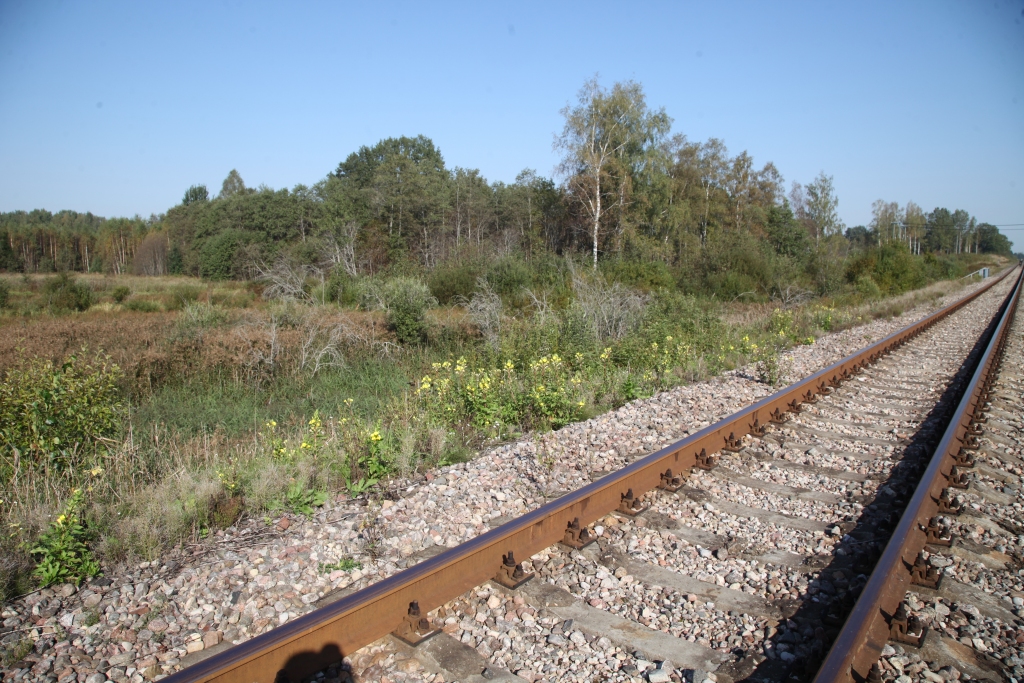 Autors: ilustratīvs