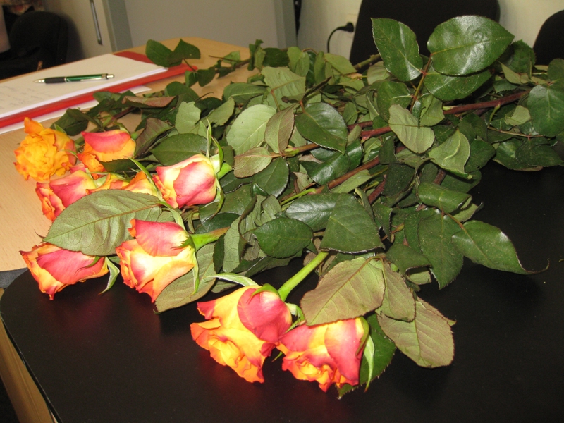 Autors: no Dzirksteles arhīva