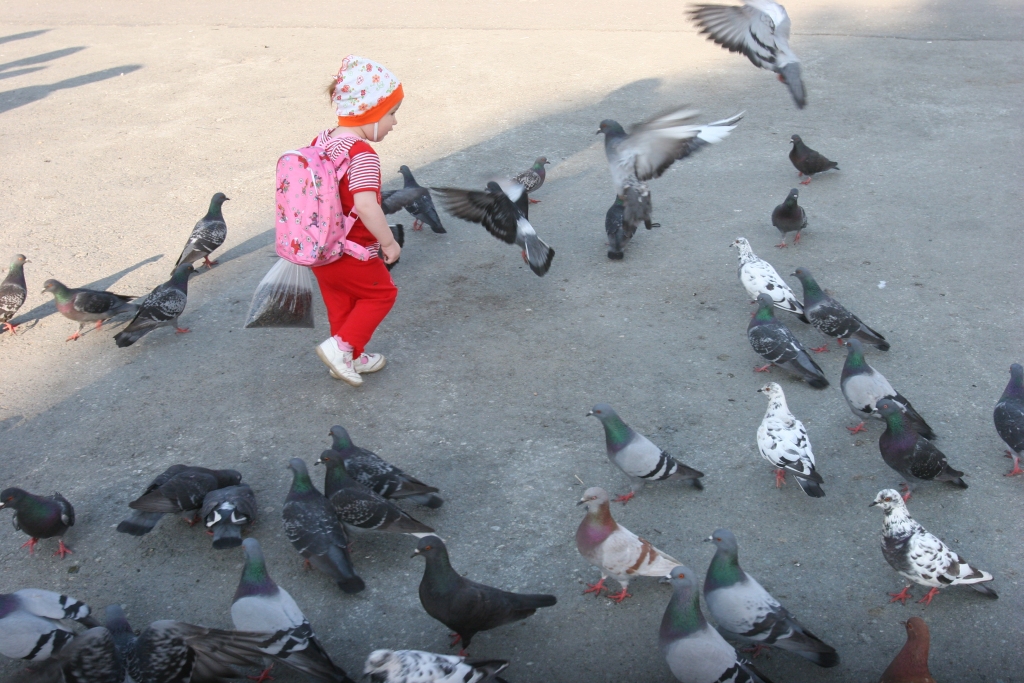 Autors: Ilustratīvs foto