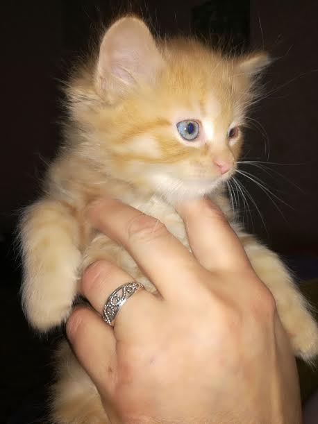 Autors: no personiskā arhīva