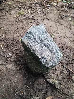 Senais robežakmens izpētei ir nodots Valsts kultūras pieminekļu aizsardzības inspekcijai. Šobrīd tiek gaidīts inspekcijas speciālistu atzinums.	
Autors:  Ilze Vanaga 