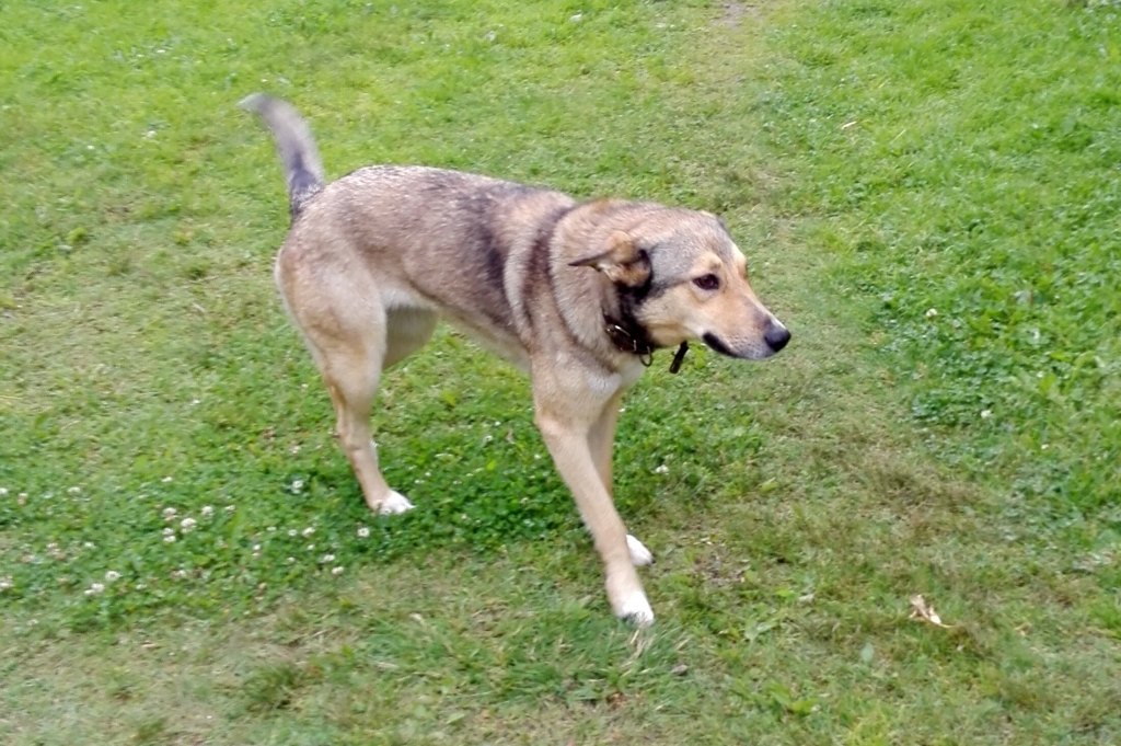 Autors: no personiskā arhīva