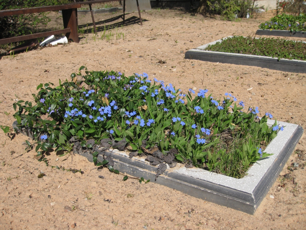 Autors: No “Dzirksteles” arhīva