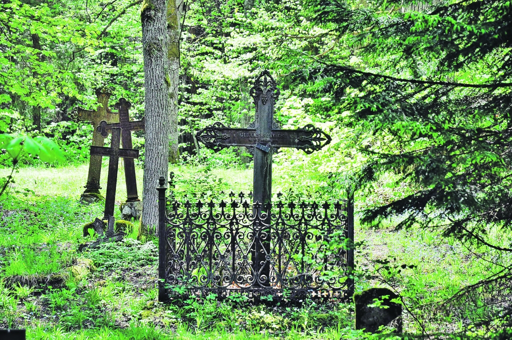 Autors: DAINIS ĢELZIS