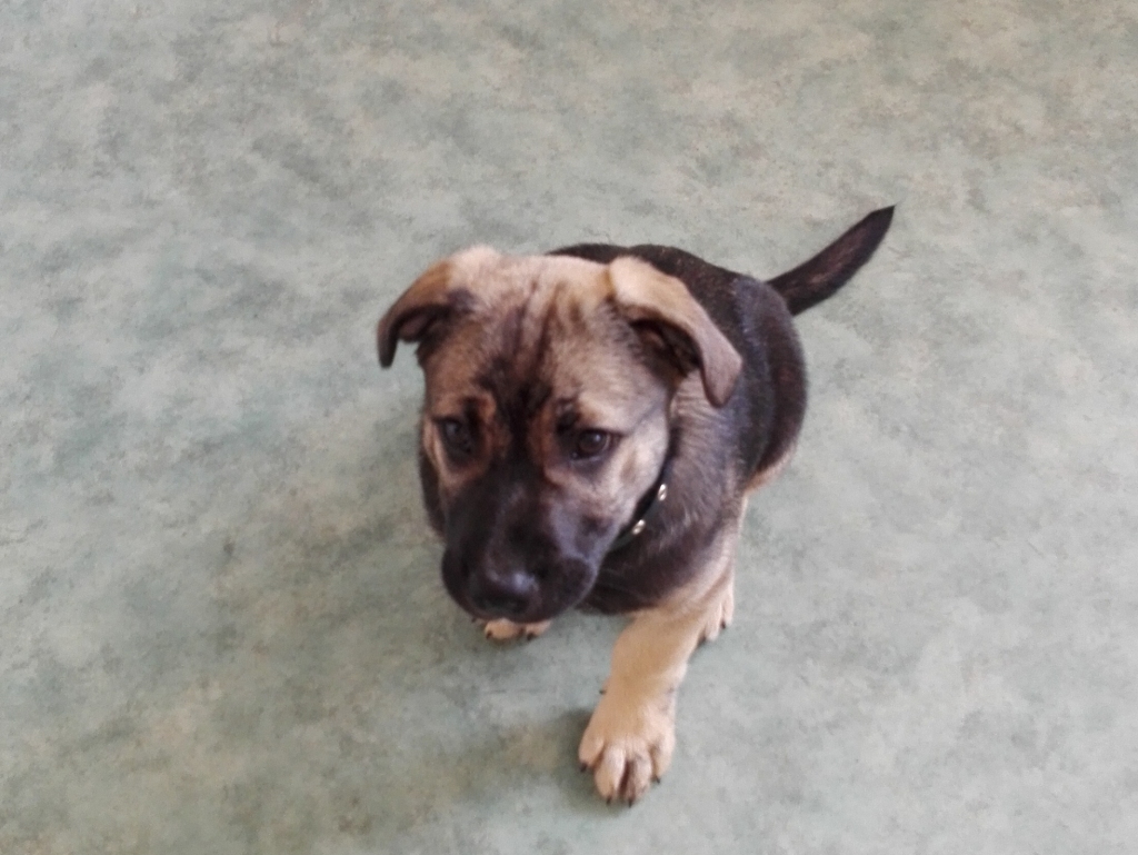 Autors: no personiskā arhīva