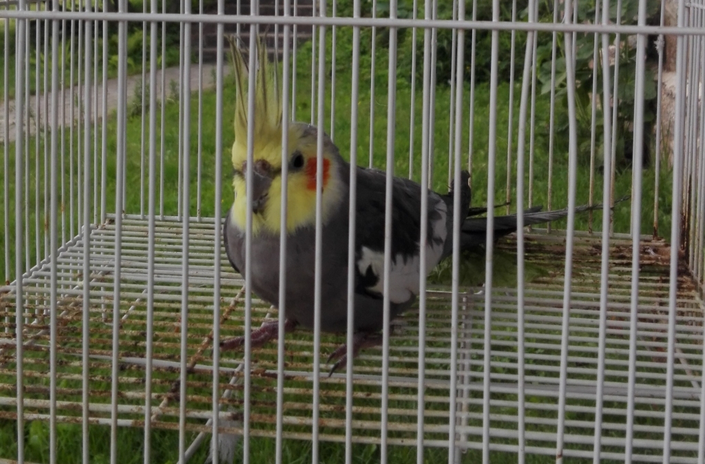 Autors: no personiskā arhīva