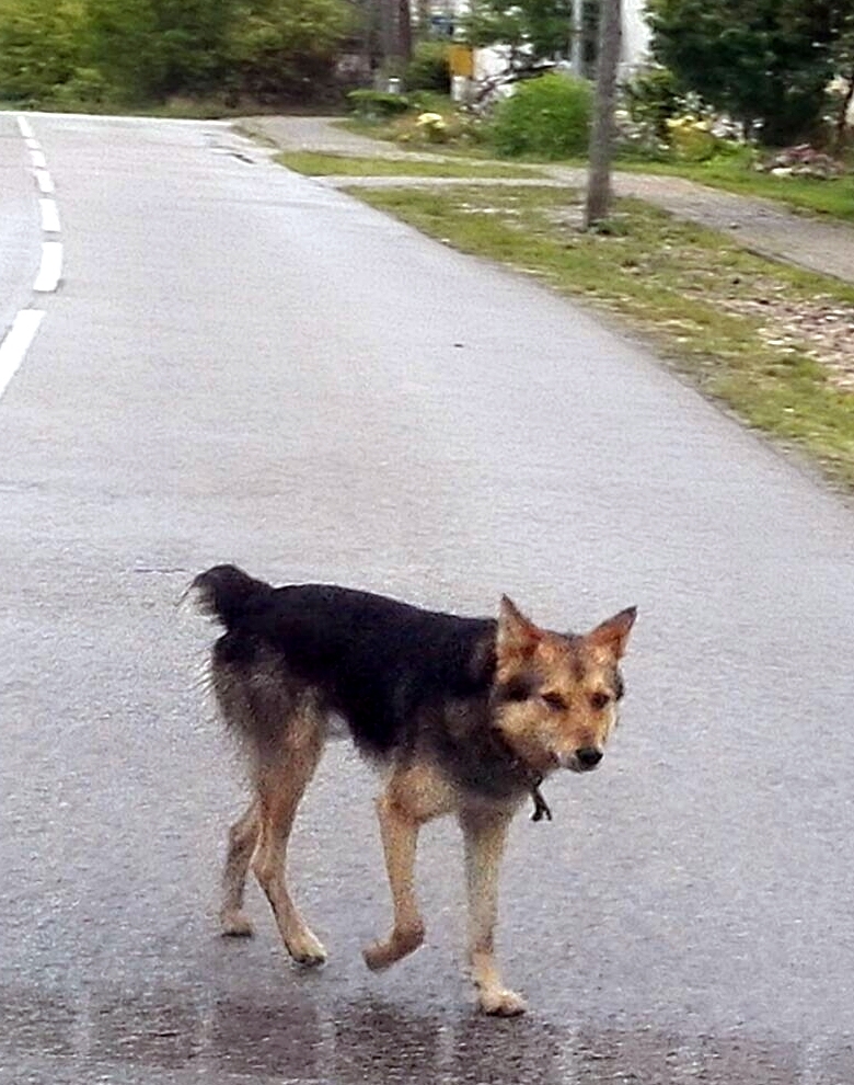 Autors: no personiskā arhīva