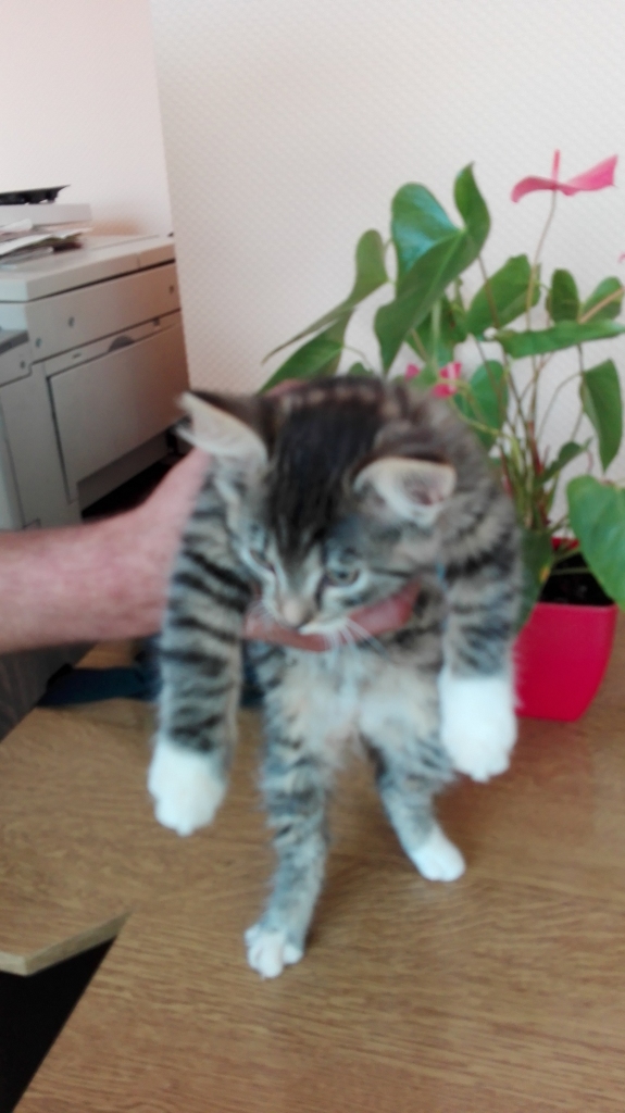 Autors: no personiskā arhīva