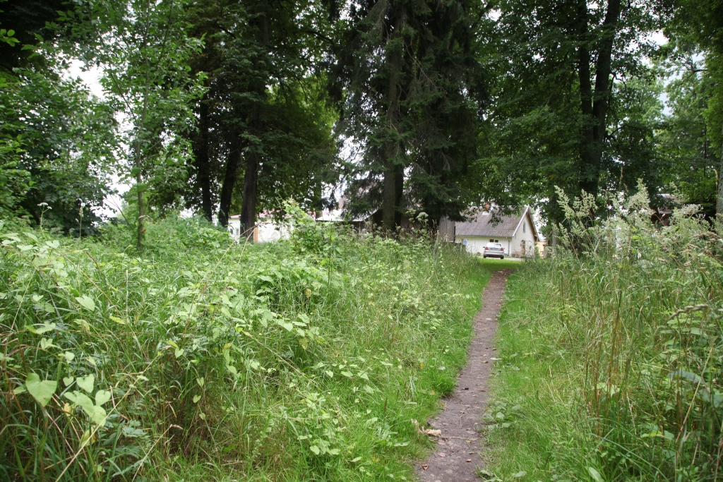 Cauri parka džungļiem diendienā iet slimnīcas darbinieki un pacienti.
Autors:  Gatis Bogdanovs