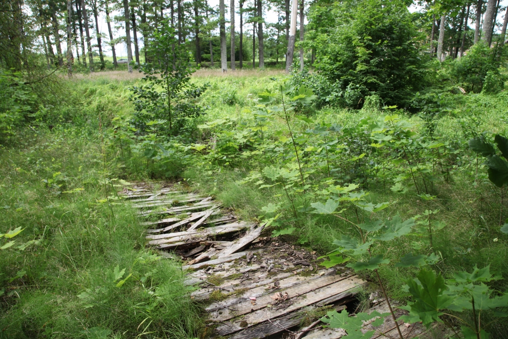 Autors: Gatis Bogdanovs