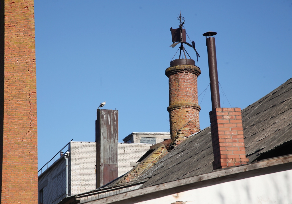 Autors: Gatis Bogdanovs