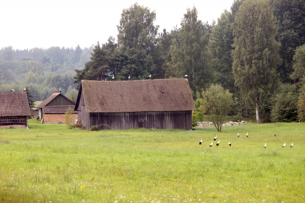 Autors: Gatis Bogdanovs