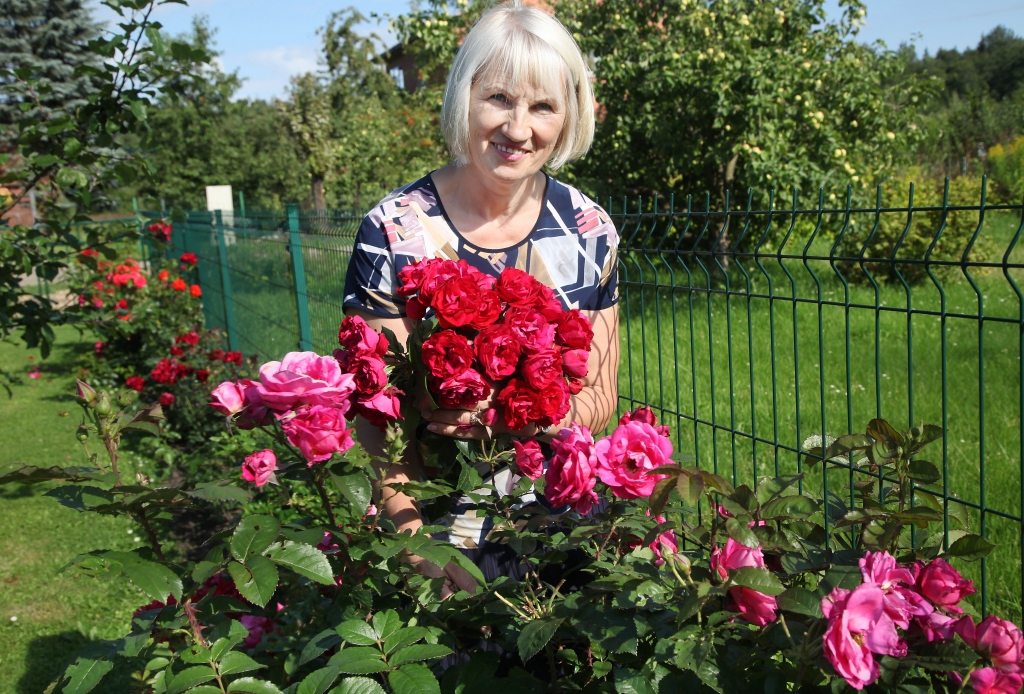 Autors:  Gatis Bogdanovs