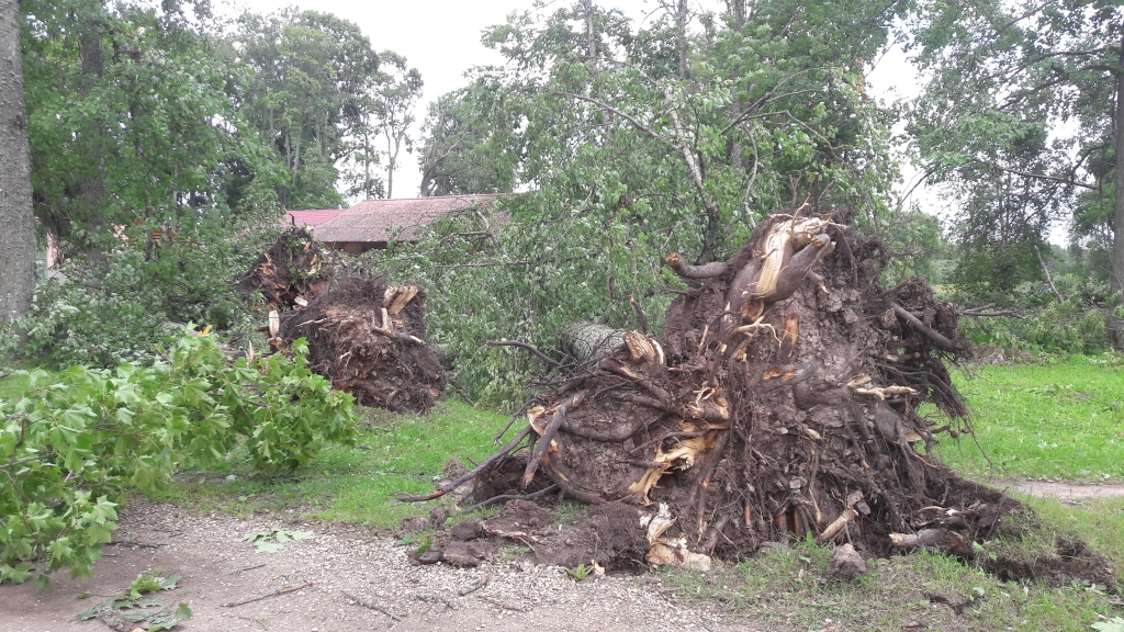 Autors: no “Dzirksteles” arhīva
