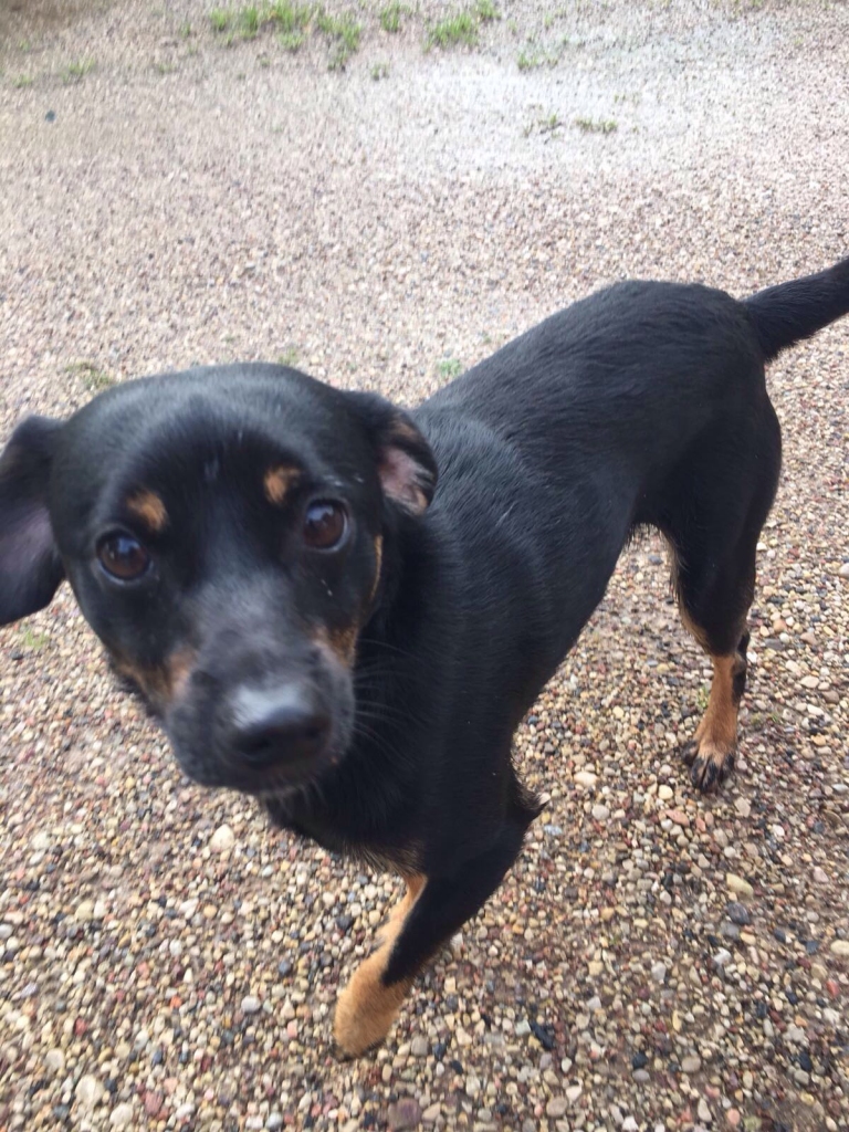 Autors: no privāta arhīva