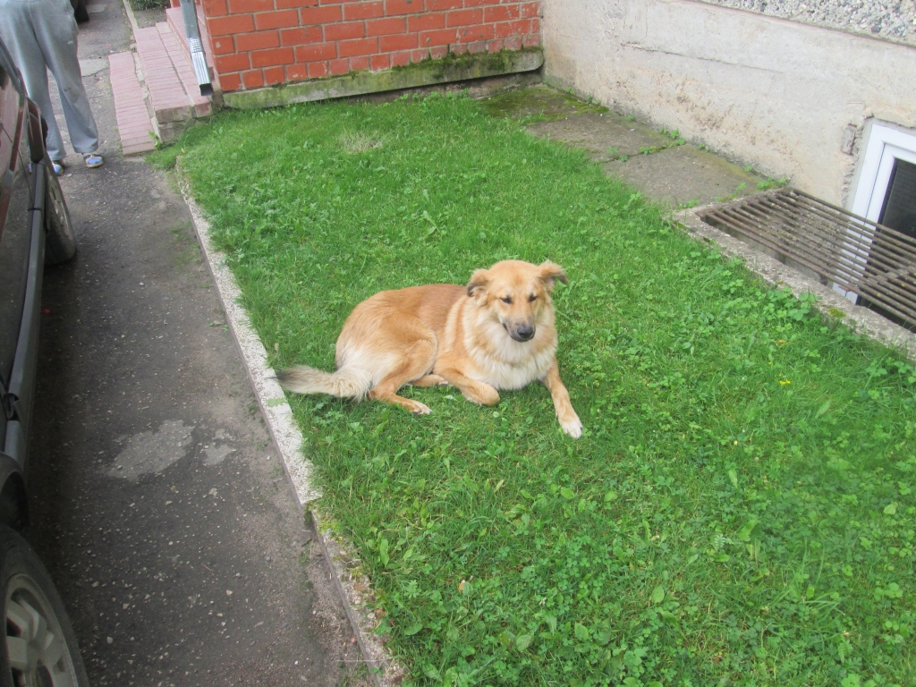 Autors: no personiskā arhīva