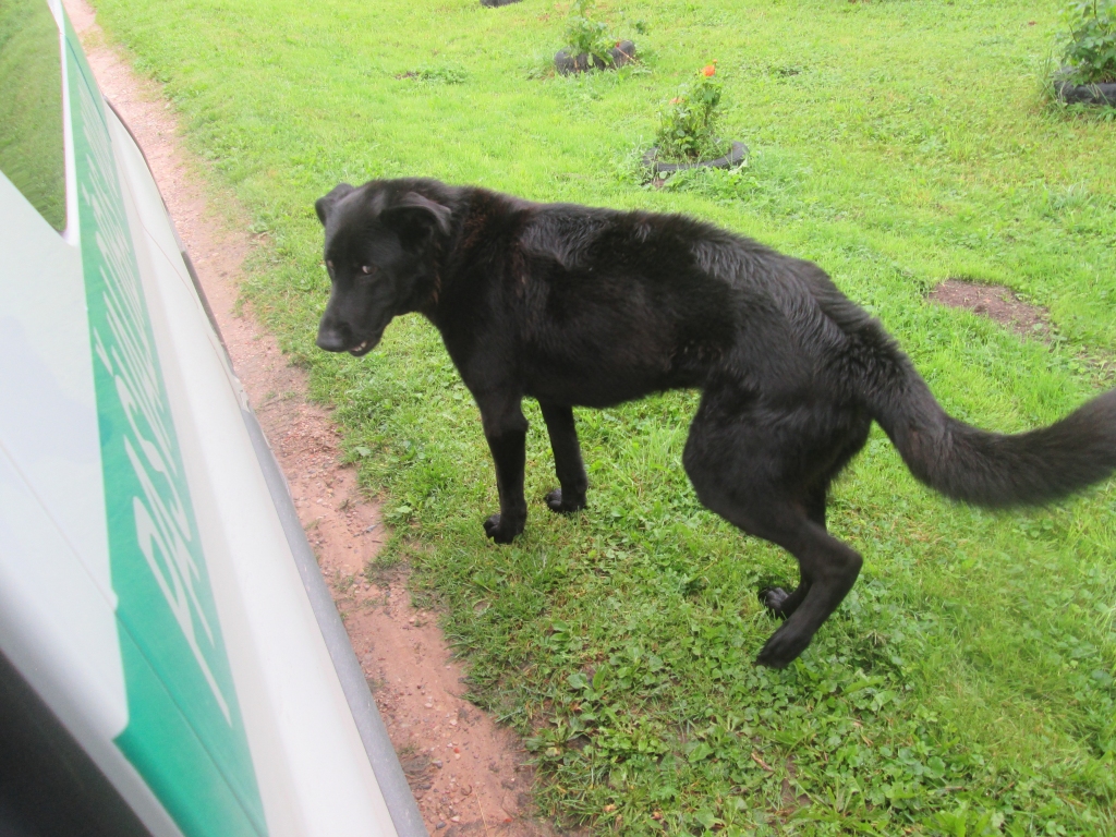 Autors: no personiskā arhīva