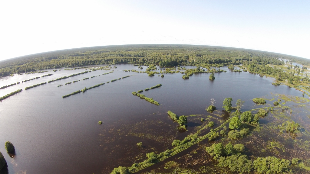 Litenes pagasta iedzīvotāja Jurija Prokofjeva saimniecības teritorija pēc pagājušās nedēļas lielajām lietavām izskatās kā “zilo ezeru zeme”. Īpaši, ja uz to paraugās no augšas. Pats saimnieks ir norūpējies par šo situāciju, uzskatot to par dramatisku. Šobrīd nav pat iespējams pilnībā apzināt visus ūdens radītos zaudējumus. 
Autors: Foto no drona: Dāvis Poļaks