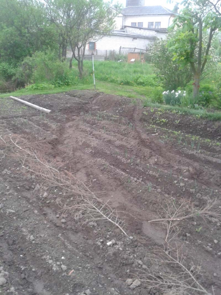 Autors: ilustratīvs