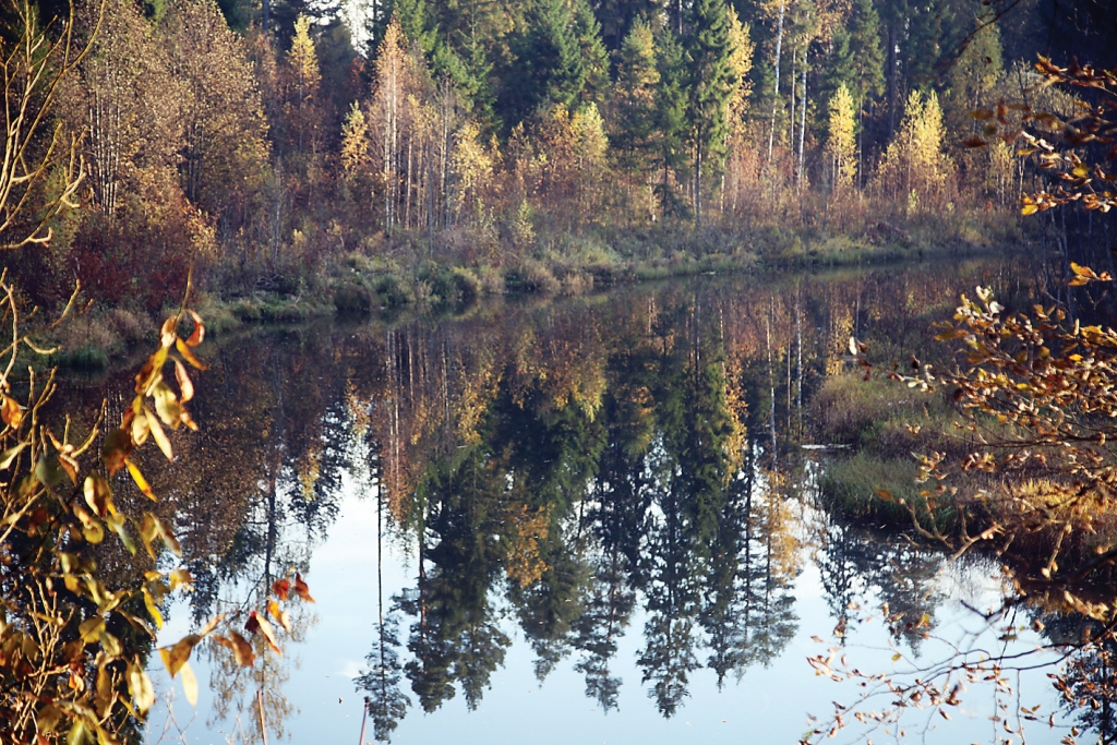 Autors: Ginta Alberte