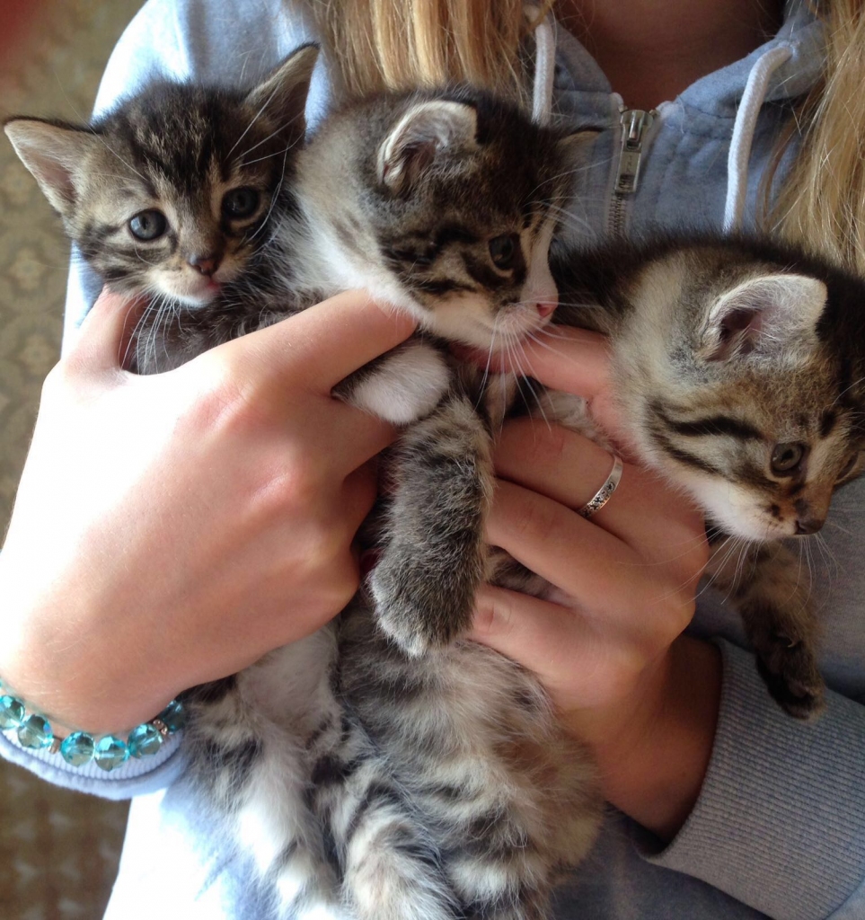 Autors: no personiskā arhīva