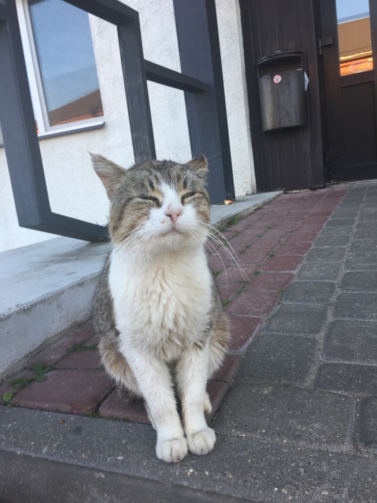 Autors: Diāna Odumiņa