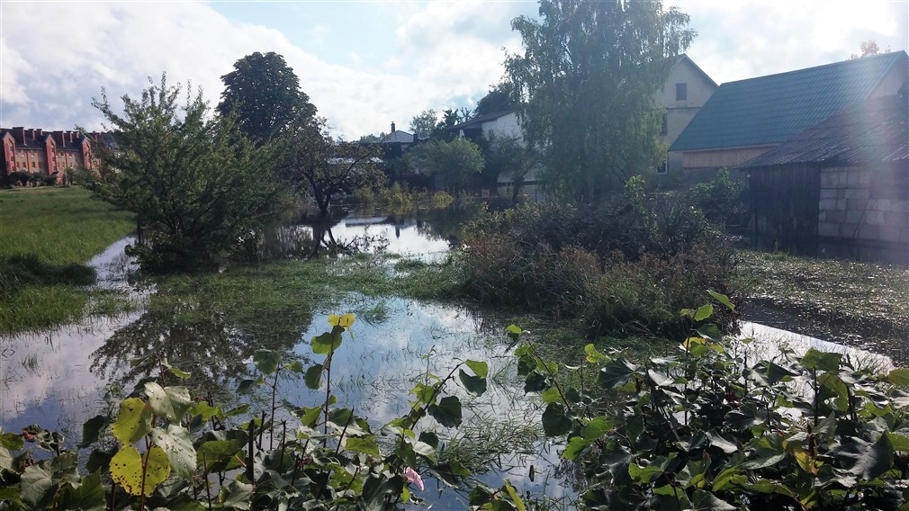 Ābeļu iela.
Autors: Tamāra Ulase