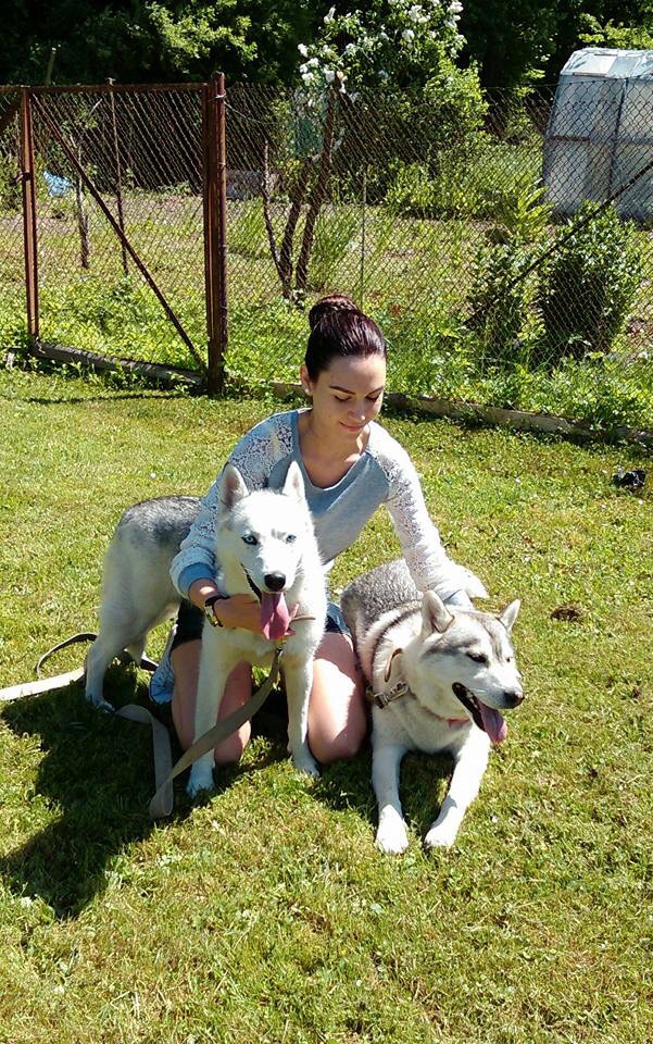 Maija Birkmane ir saimniece Norai, taču ne mazāk mīļš viņai ir arī Roko. Turklāt abi suņi ir nešķirami.
Autors: no personiskā arhīva