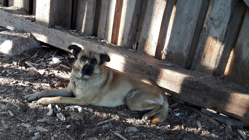 Autors: no personiskā arhīva