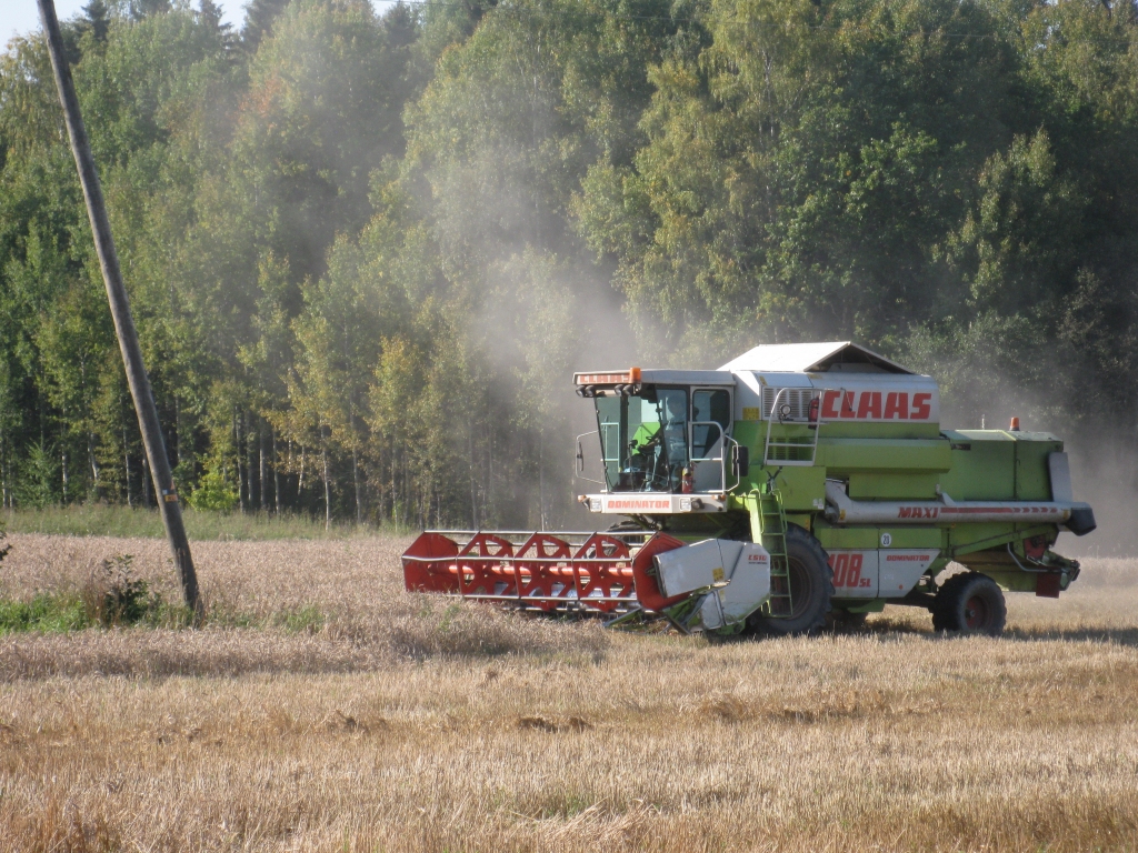 SIA “Dimdiņi Agro” vienīgajam kombainam divas dienas palīgā atsteidzās tuvāko kaimiņu - SIA “Brīvzemnieki” kombains. “Paldies “Brīvzemnieku” kolektīvam, kas pēc savas iniciatīvas iedeva palīgā graudu kombainu. Tiek paredzēts, ka otrdien atkal sāks līt. Tas nozīmē, ka mums nekulti varētu palikt 60 hektāri no 390 hektāriem graudaugu platību. Tas ir apmēram 15 procenti,” informē SIA “Dimdiņi Agro” direktors Ainārs Sebris.
Autors: Mārīte Dzene