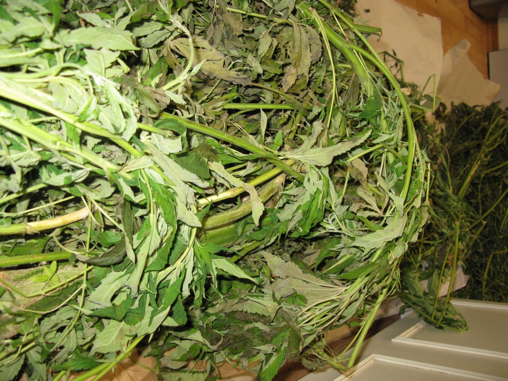 Autors: no Dzirksteles arhīva