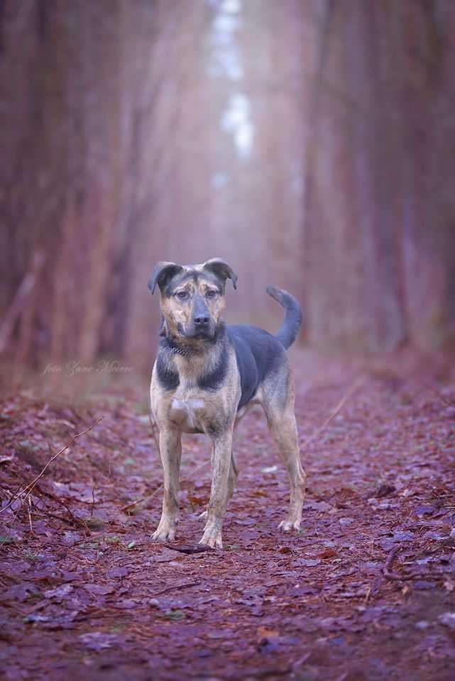 Autors: ilustratīvs